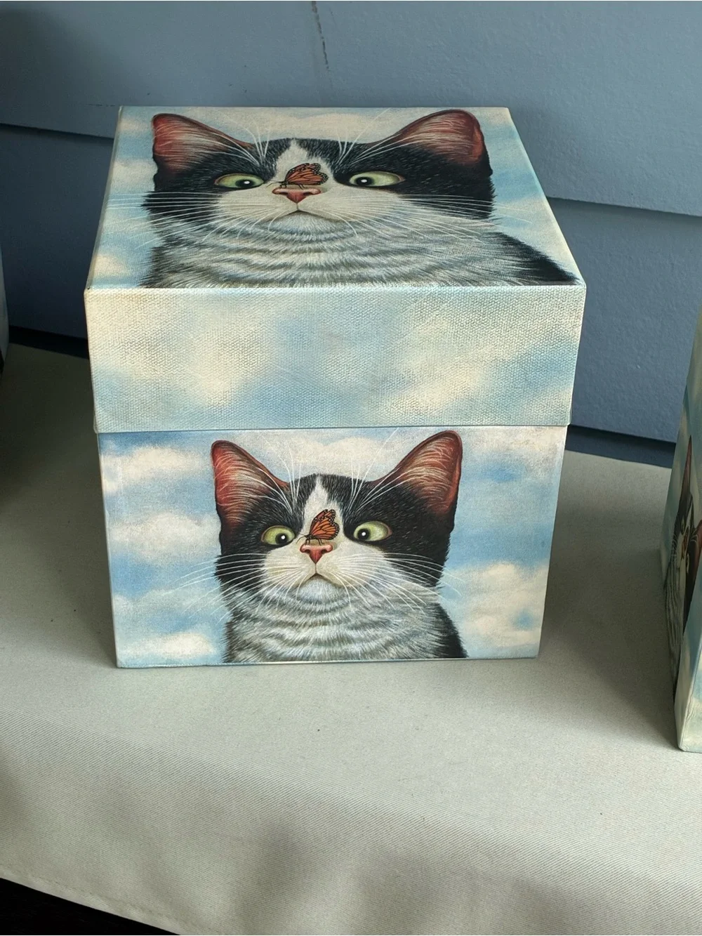 🐾 Set of 3 Vintage Bob’s Boxes – Tuxedo Cat & Ladybug Nesting Boxes